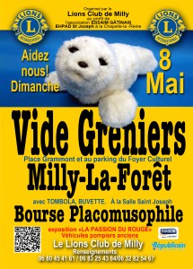 Vide Grenier Lions Milly